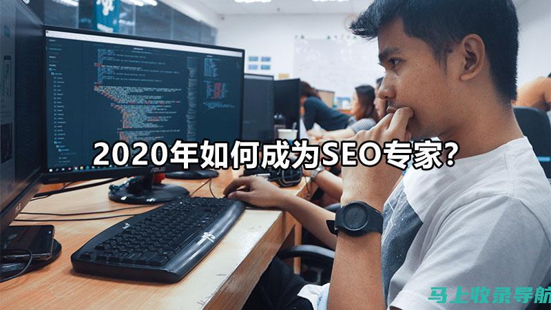 专业级SEO综合查询工具，免费下载与操作指南